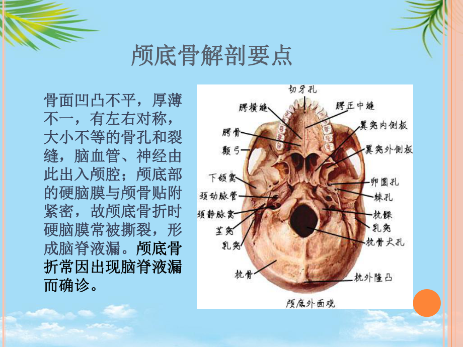 颅底骨折护理标准-全面版课件.ppt_第2页