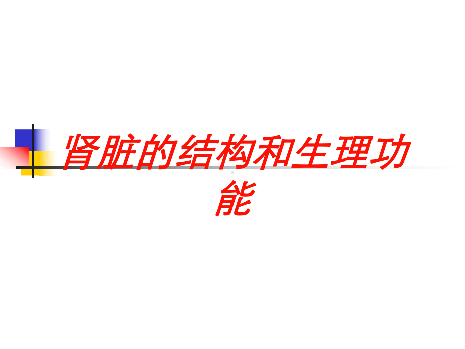 肾脏的结构和生理功能培训课件.ppt_第1页