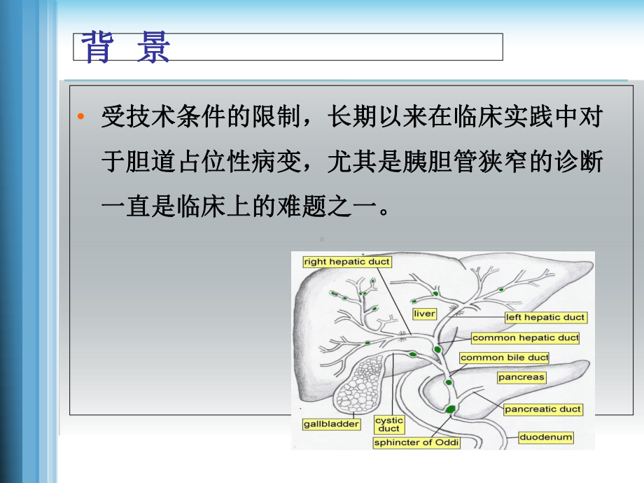 微探头式共聚焦内镜在胆道占位诊断中应用课件.ppt_第2页