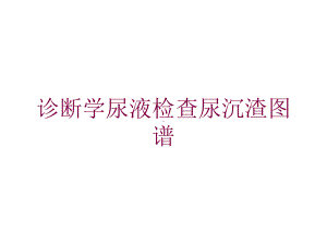 诊断学尿液检查尿沉渣图谱培训课件.ppt