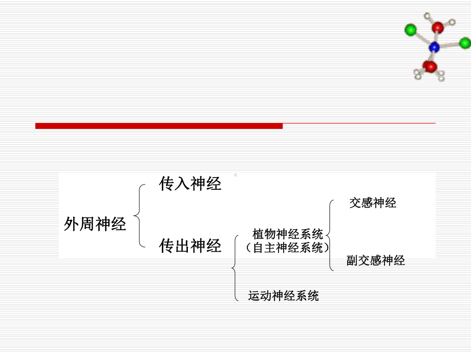 药物化学七作用于肾上腺素能受体的药物课件.pptx_第3页