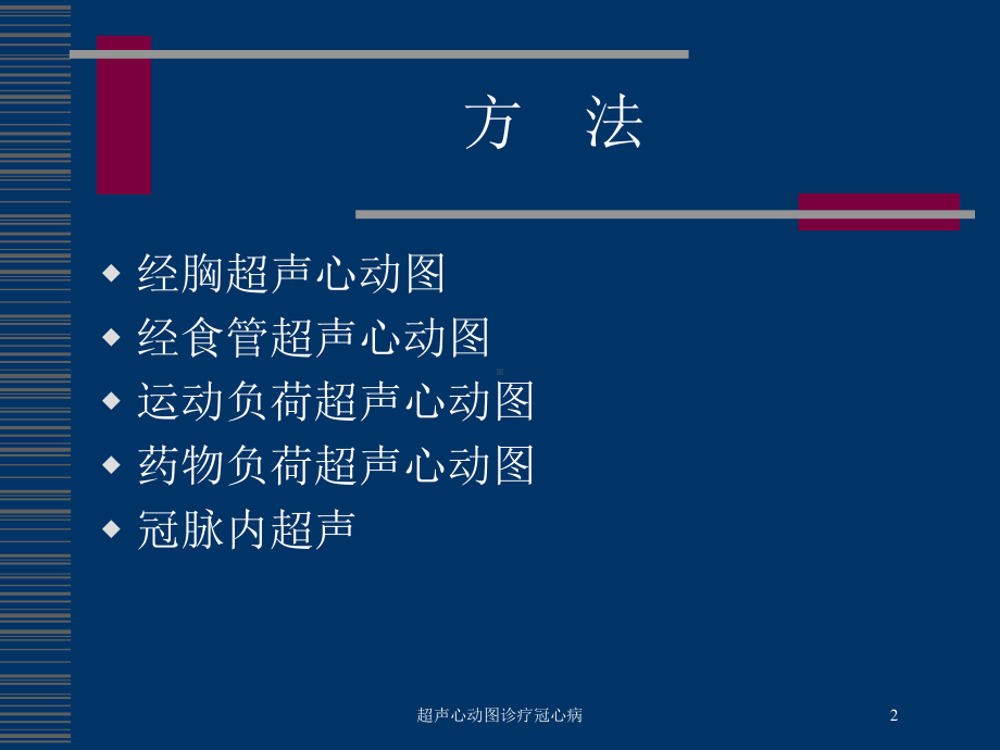 超声心动图诊疗冠心病培训课件.ppt_第2页