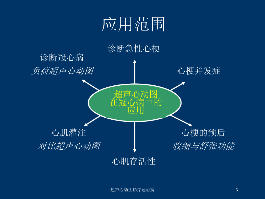 超声心动图诊疗冠心病培训课件.ppt_第3页