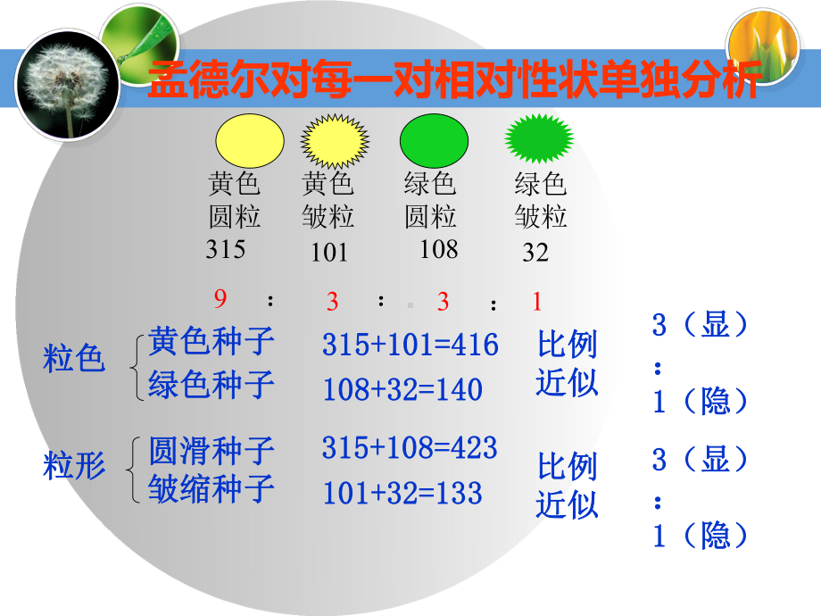 自由组合规律试验新人教版-课件.ppt_第3页