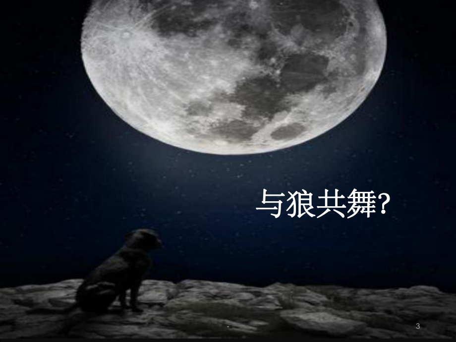 睡眠与觉醒的脑机制-课件.ppt_第3页