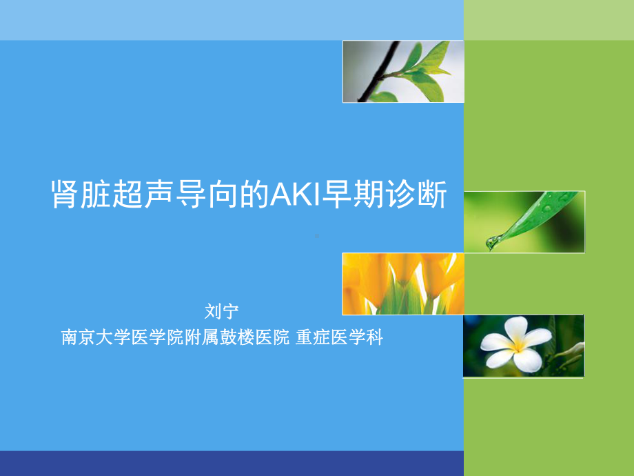 肾脏超声导向的AKI早期诊断课件.ppt_第1页