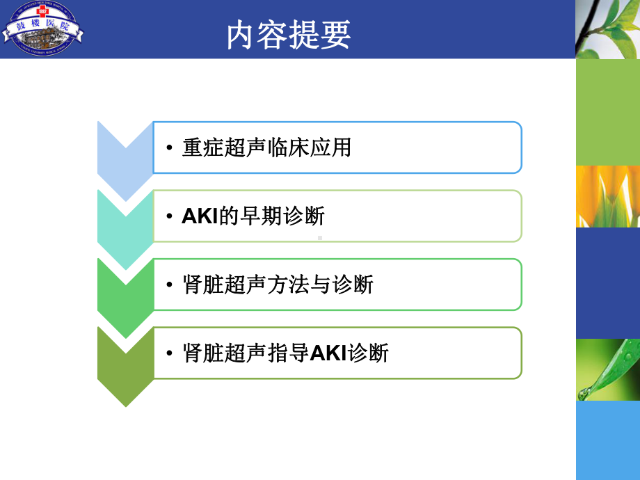 肾脏超声导向的AKI早期诊断课件.ppt_第2页