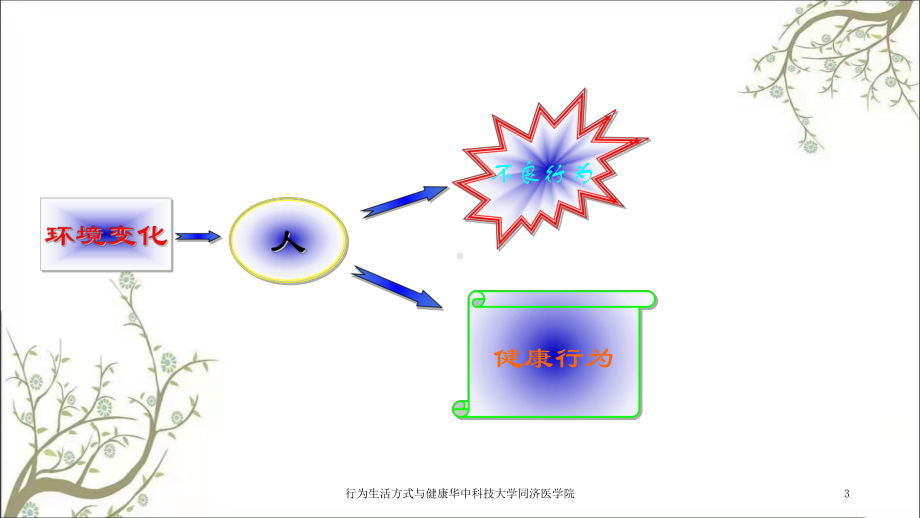 行为生活方式与健康课件.ppt_第3页