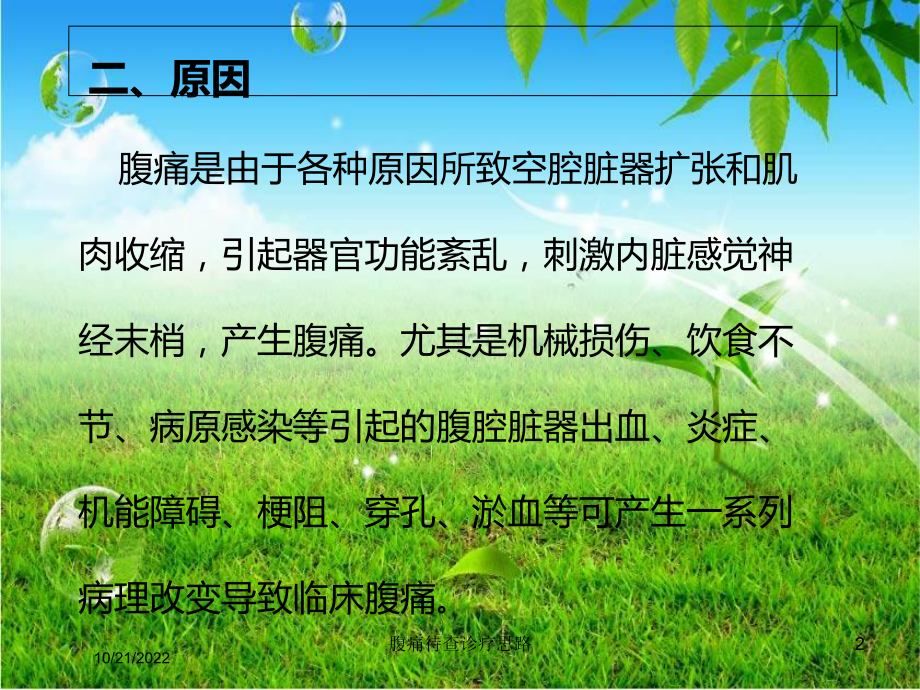 腹痛待查诊疗思路培训课件.ppt_第2页