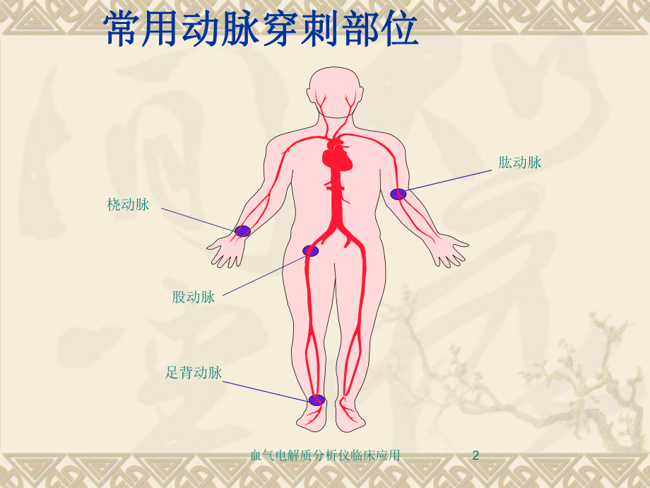 血气电解质分析仪临床应用培训课件.ppt_第2页