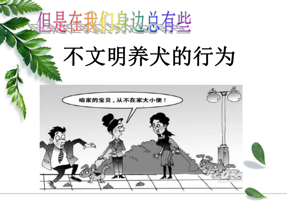 文明养犬文新中队课件.ppt_第3页