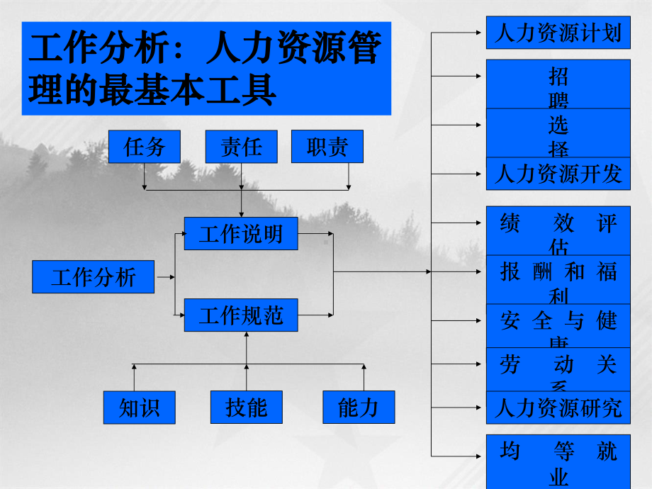 人力资源实训教程课件.ppt_第3页