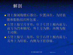 肾上腺疾病超声诊断培训课件.ppt