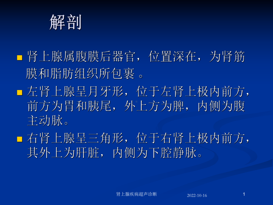 肾上腺疾病超声诊断培训课件.ppt_第1页