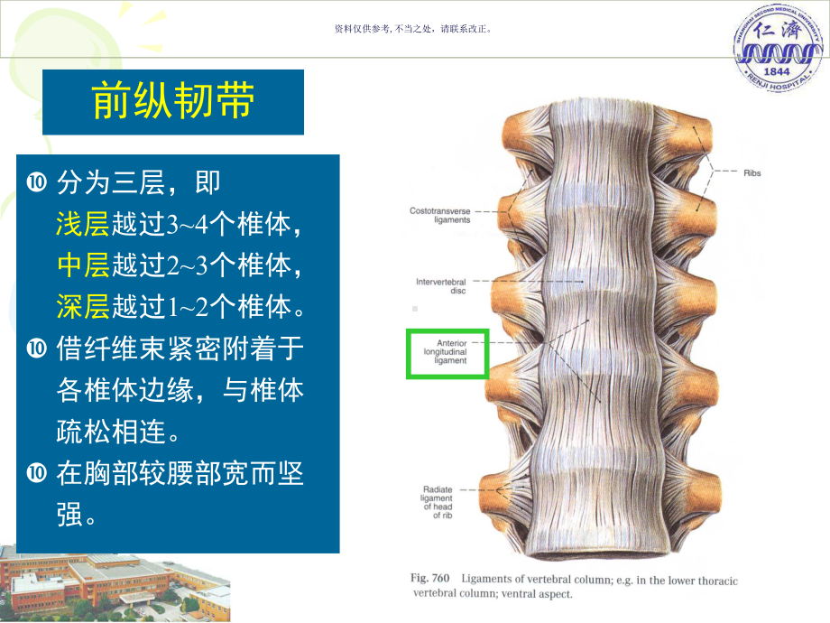 脊柱解剖和麻醉临床课件.ppt_第3页