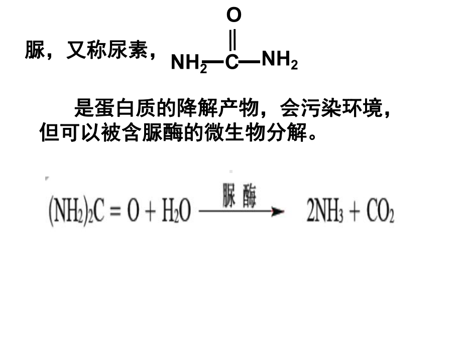 实验2分离以尿素为氮源的微生物课件.ppt_第2页