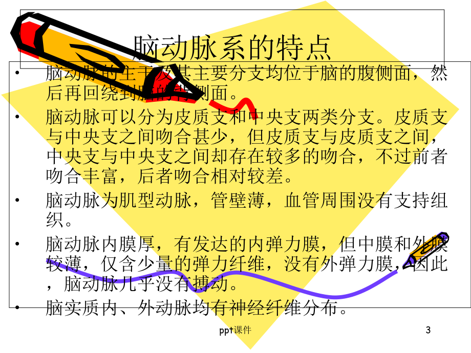 脑血管各支供血区分布-课件.ppt_第3页