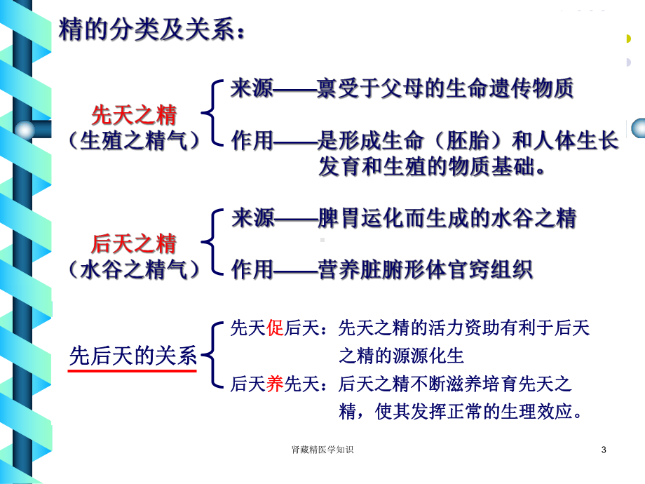 肾藏精医学知识培训课件.ppt_第3页