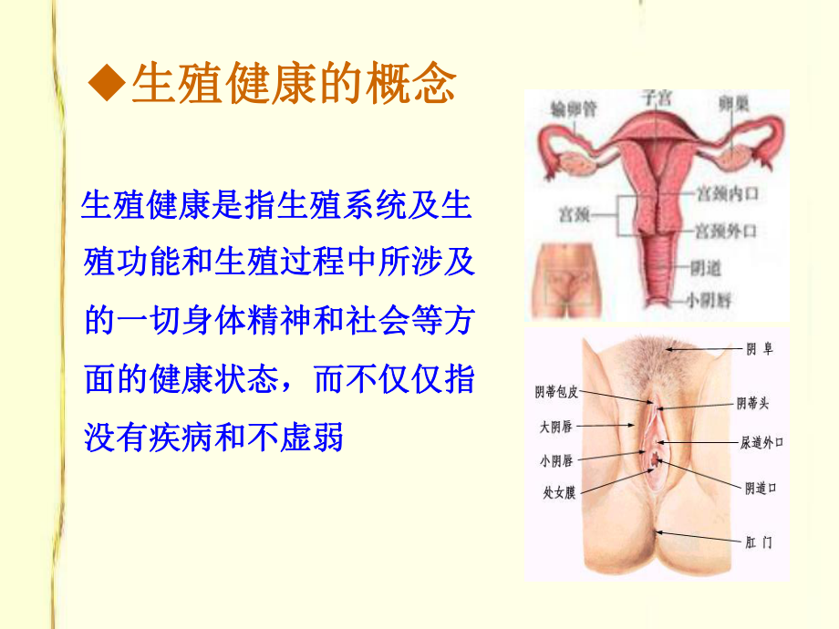 生殖健康的理论与实践课件.ppt_第2页