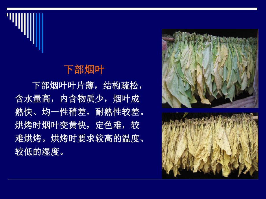 中温中湿烘烤工艺课件.ppt_第3页