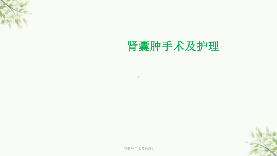 肾囊肿手术及护理9课件.ppt_第1页