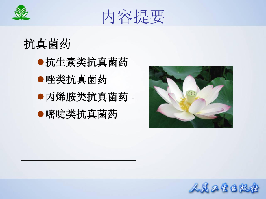 第-43-章-抗真菌药课件.ppt_第2页