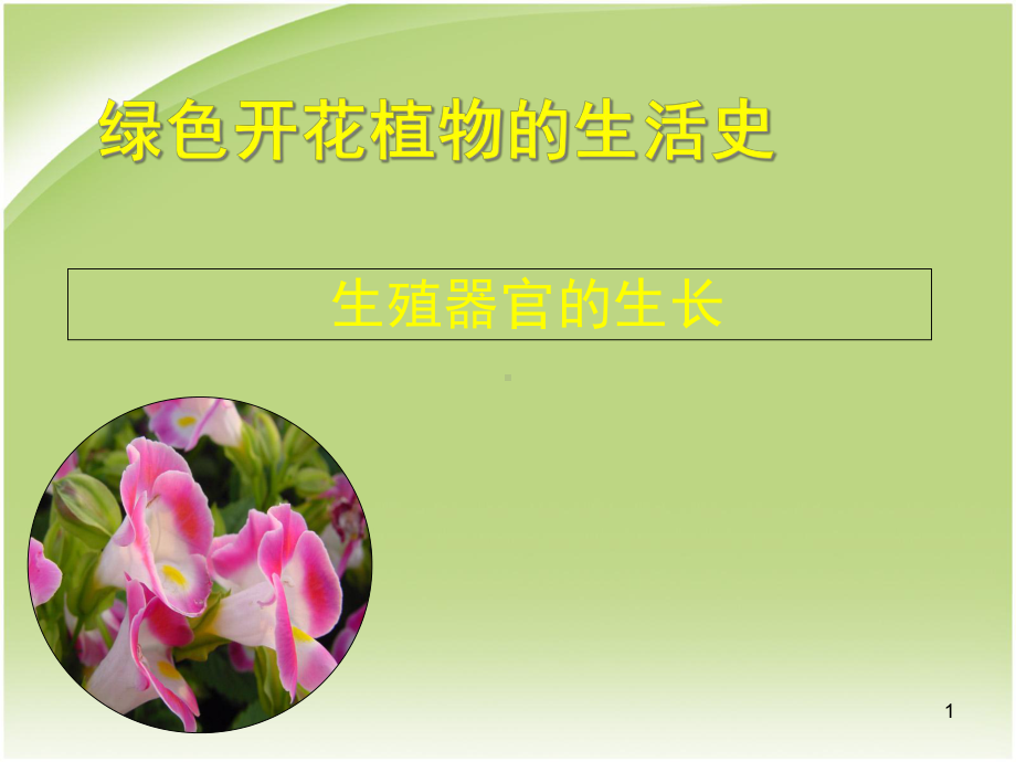 绿色开花植物生殖器官的生长教学课件.ppt_第1页