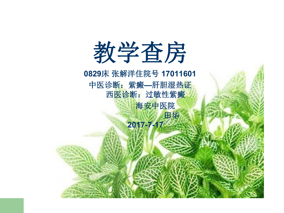 过敏性紫癜教学查房课件.ppt_第1页