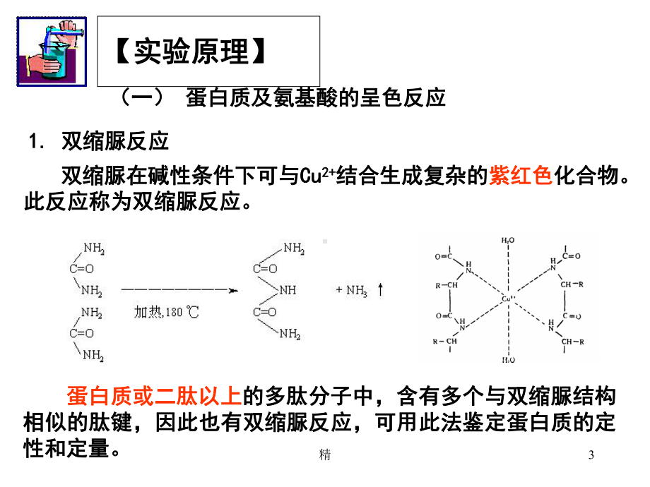 实验1-蛋白质性质一精选课件.ppt_第3页