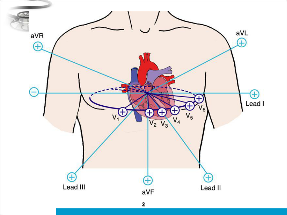 心电图的判读课件.ppt_第2页