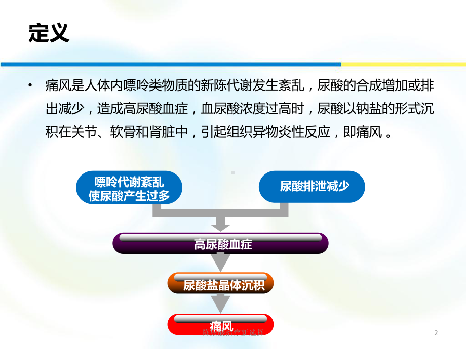 降尿酸治疗新选择课件.ppt_第2页