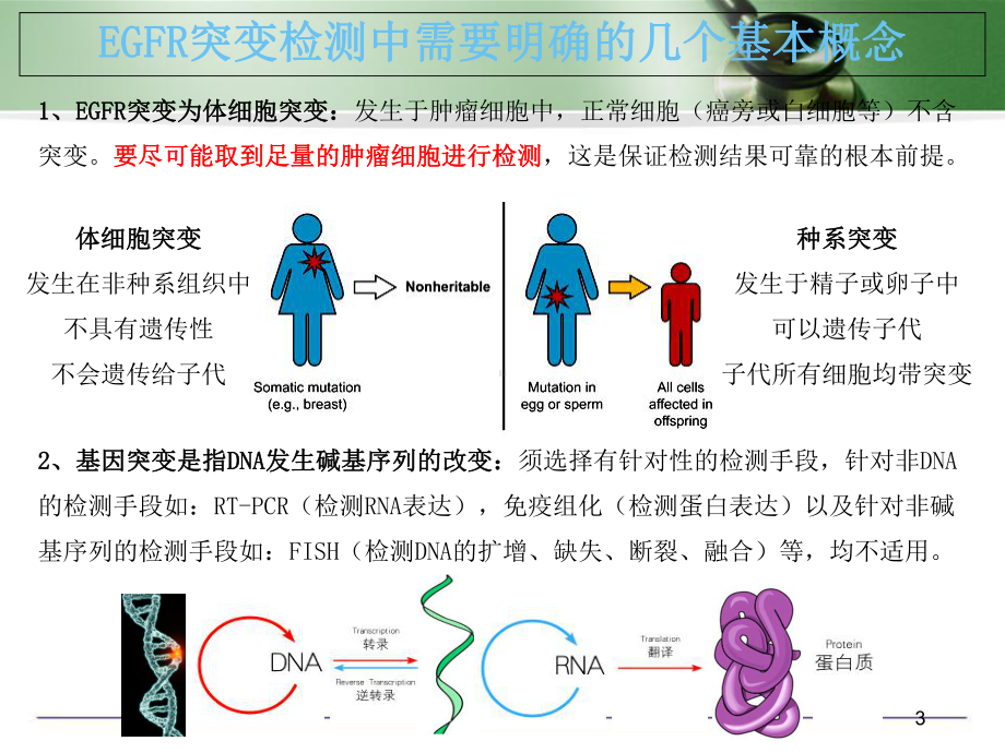 非小细胞肺癌基因检测医学课件.ppt_第3页