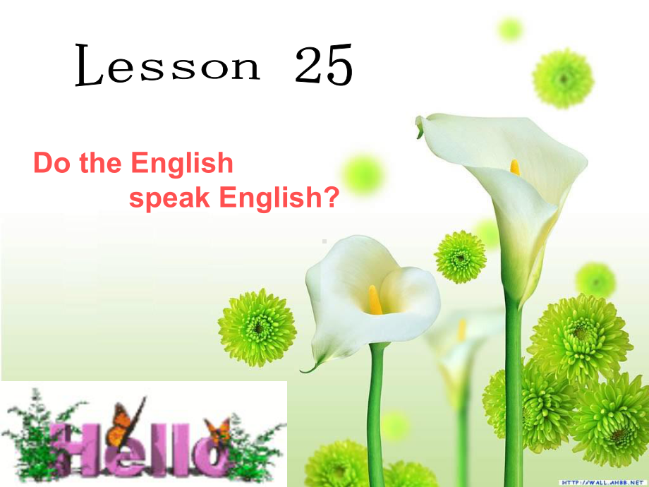 新概念英语第二册Lesson25课-课件(共43张).ppt--（课件中不含音视频）_第3页