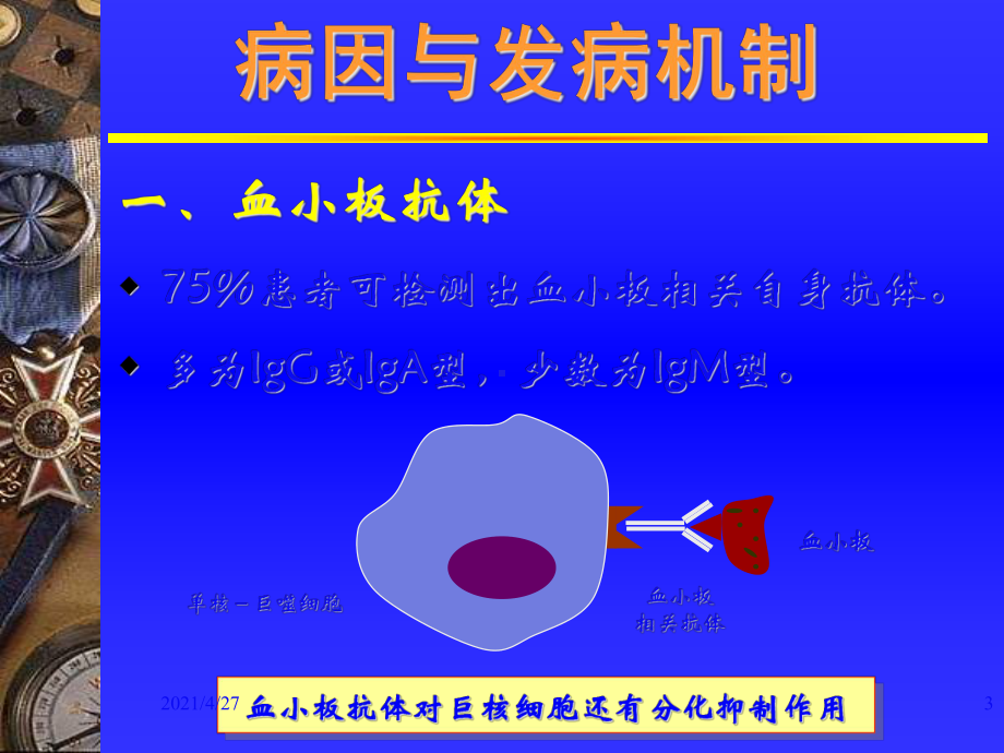 血液学课件血小板减少性紫癜.ppt_第3页