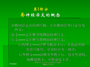 脊神经后支卡压综合征的诊疗和针刀微创手术治疗培训课件.ppt