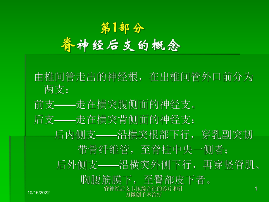 脊神经后支卡压综合征的诊疗和针刀微创手术治疗培训课件.ppt_第1页