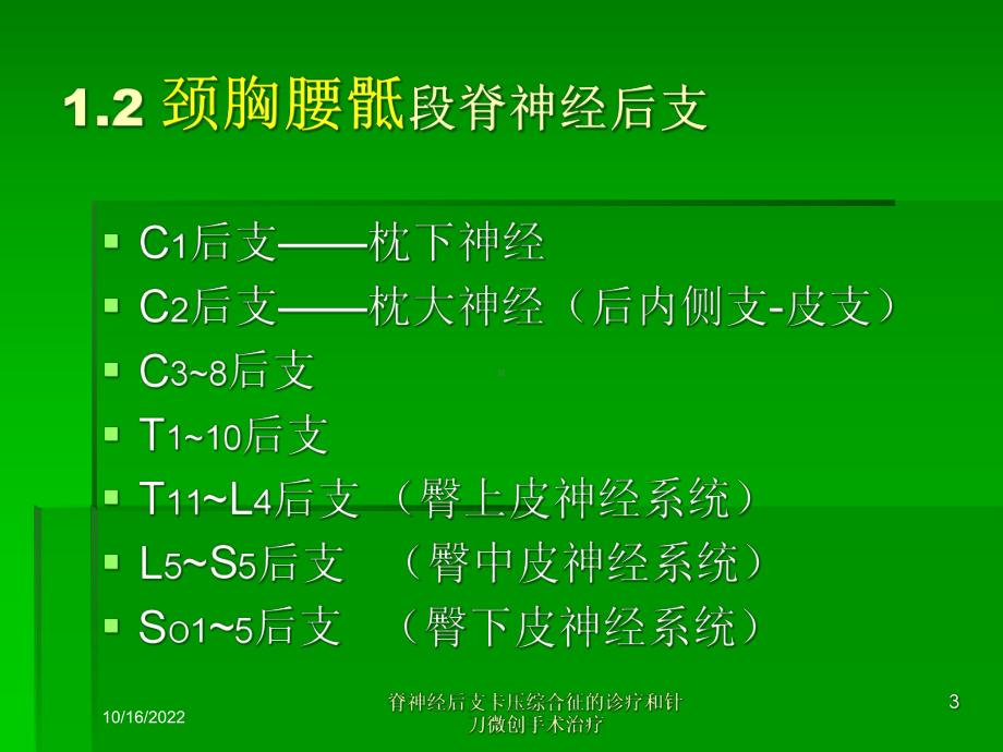 脊神经后支卡压综合征的诊疗和针刀微创手术治疗培训课件.ppt_第3页