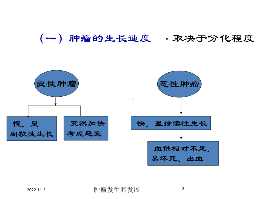 肿瘤发生和发展培训课件.ppt_第3页