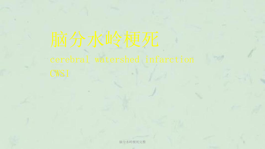 脑分水岭梗死完整课件.ppt_第1页