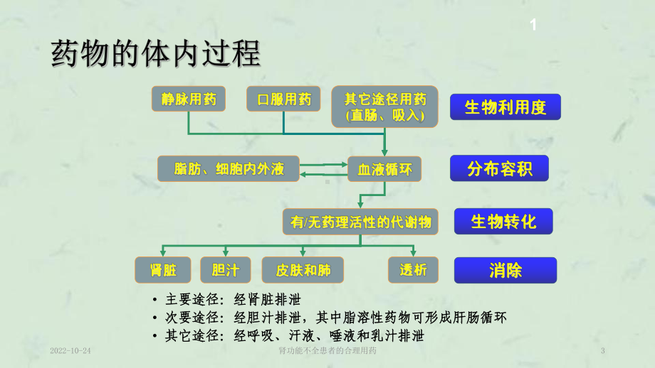 肾功能不全患者的合理用药课件.ppt_第3页