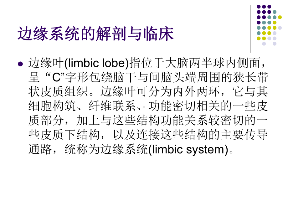 边缘系统的解剖与临床-课件.ppt_第2页
