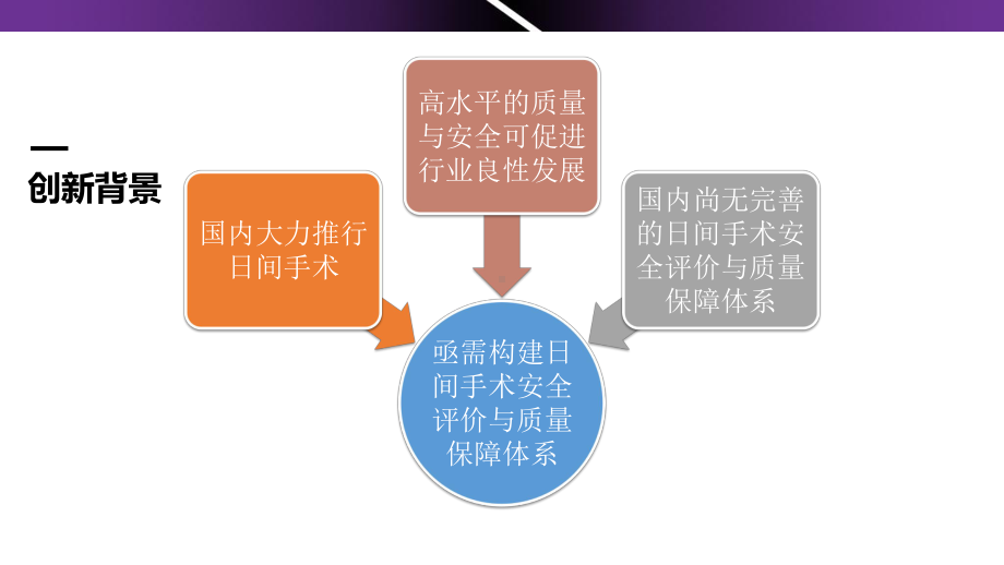 日间手术质量安全保障体系的构建与应用课件.pptx_第3页