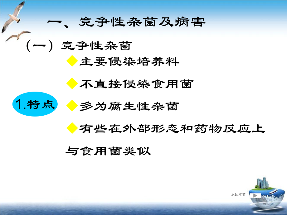 腹部CT断层解剖结构肝胰腺课件1.ppt_第3页