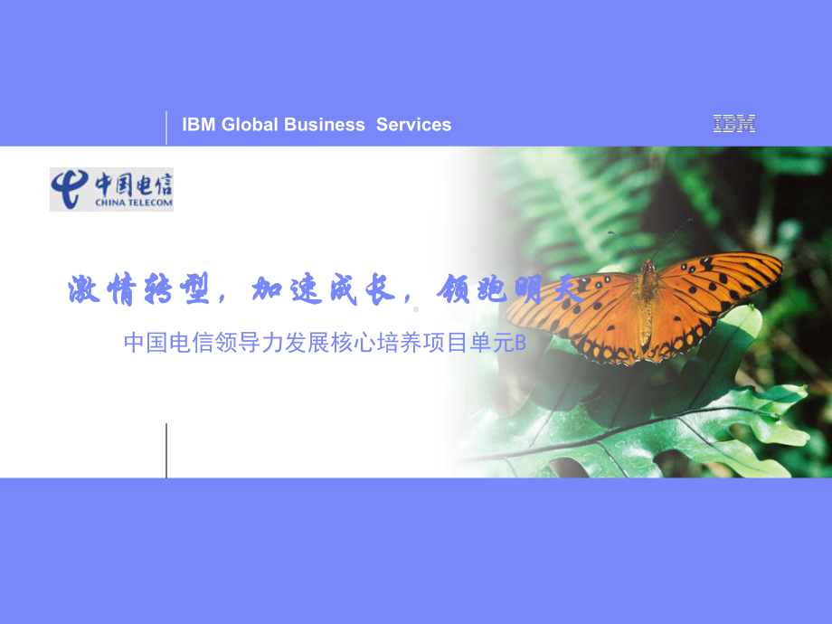 战略与执行的力量(IBM业务领先模型)B课件.ppt_第1页