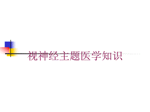 视神经主题医学知识培训课件.ppt