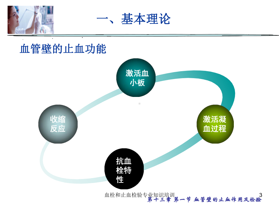 血栓和止血检验专业知识培训培训课件.ppt_第3页