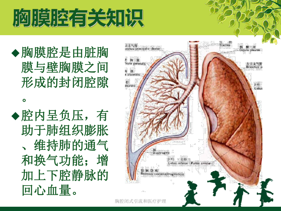 胸腔闭式引流和医疗护理培训课件.ppt_第3页