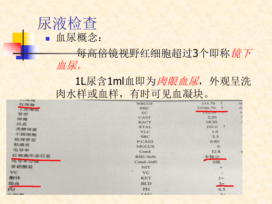 肾内科知识实习生课件.ppt_第3页