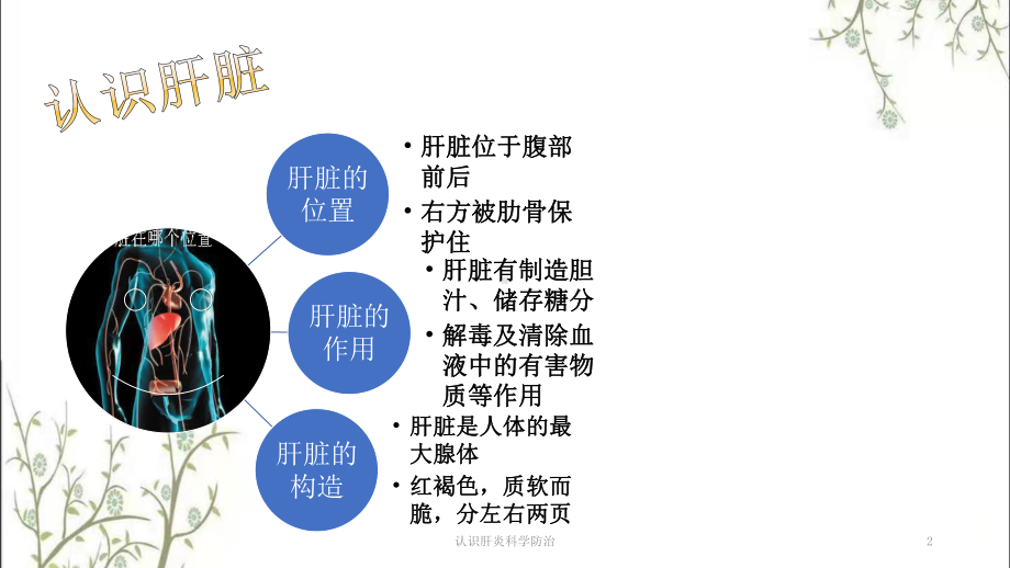 认识肝炎科学防治课件.pptx_第2页