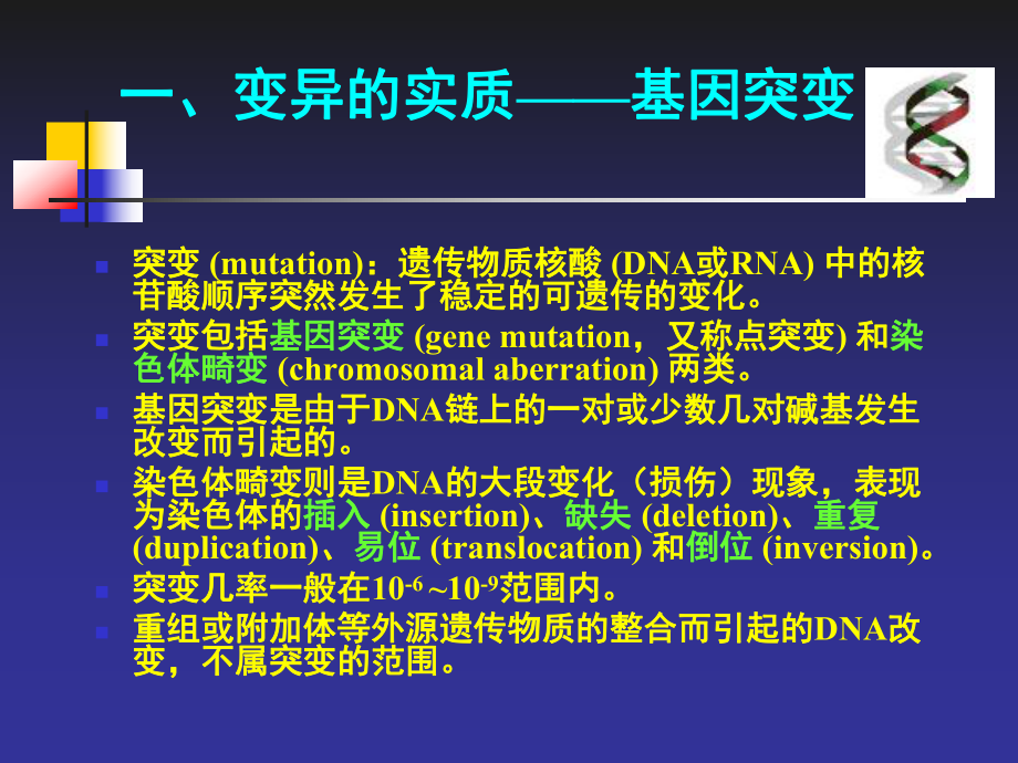 环境微生物微生物的变异-课件.ppt_第3页